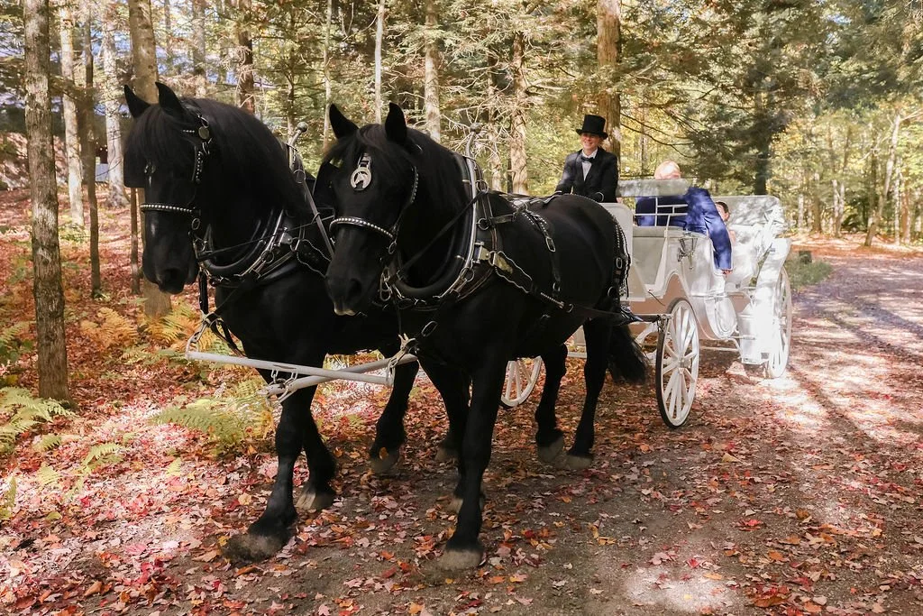 vermont-wedding-carriage-ride.jpg