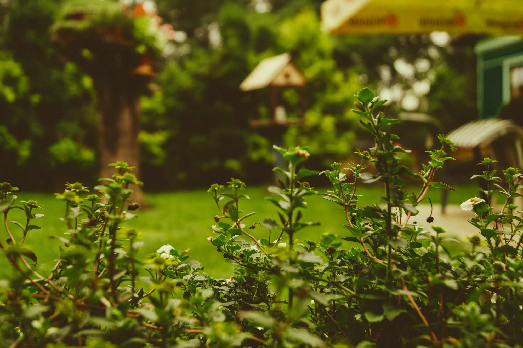 Staying Sane As You Stay At Home