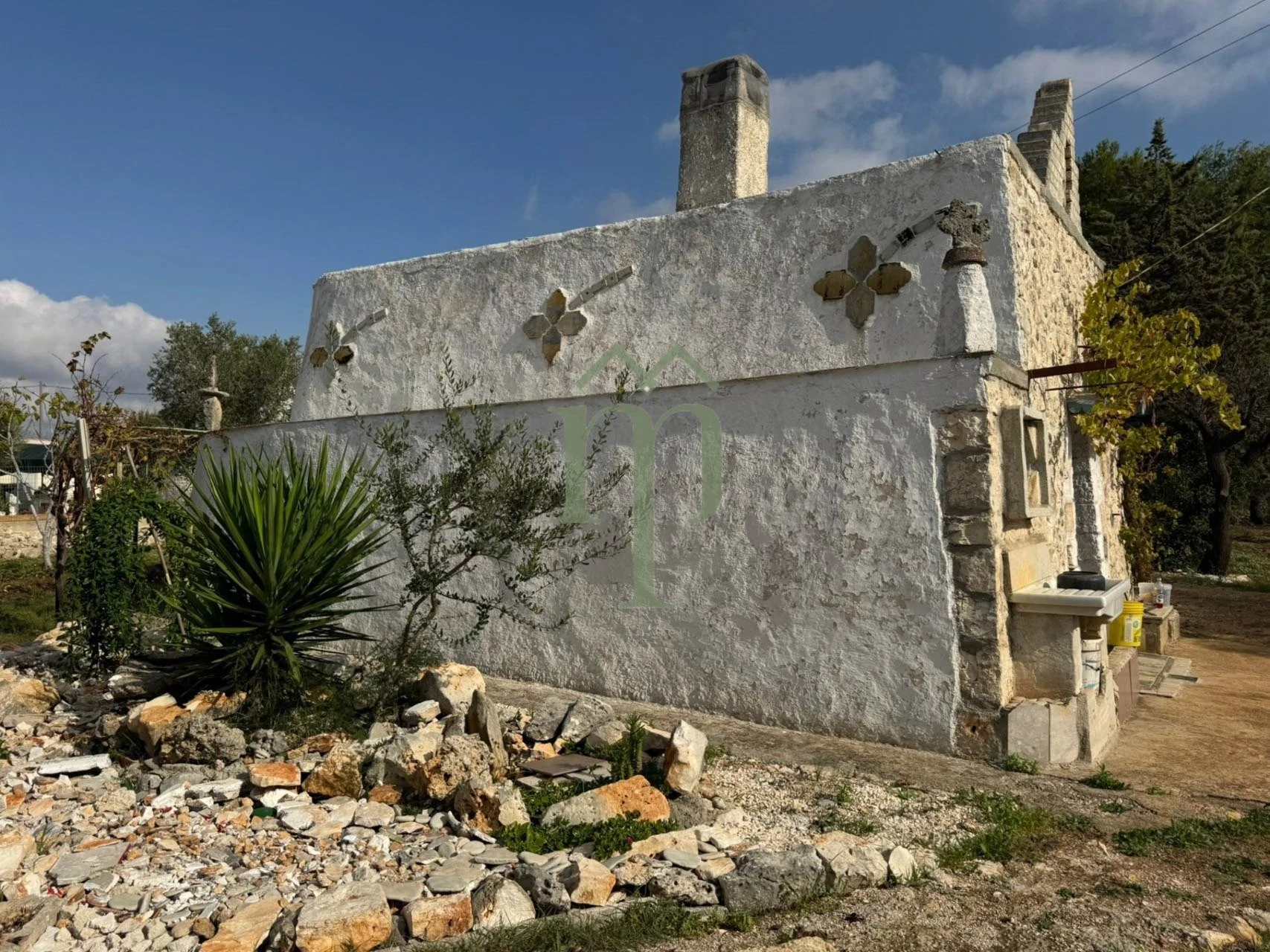 6735d10aa0f96843f34c18f9_lamia quadrifoglio-3.jpeg