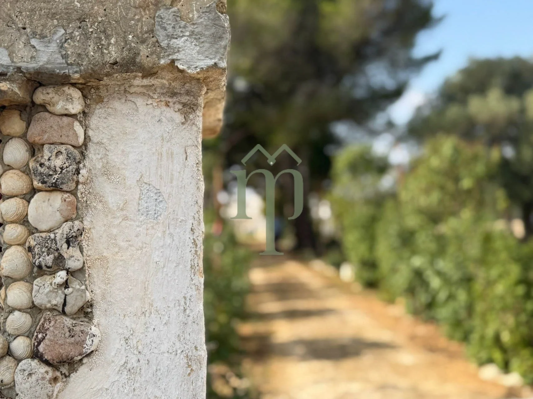 6735d13287a8952480a585ae_lamia quadrifoglio-16.jpeg