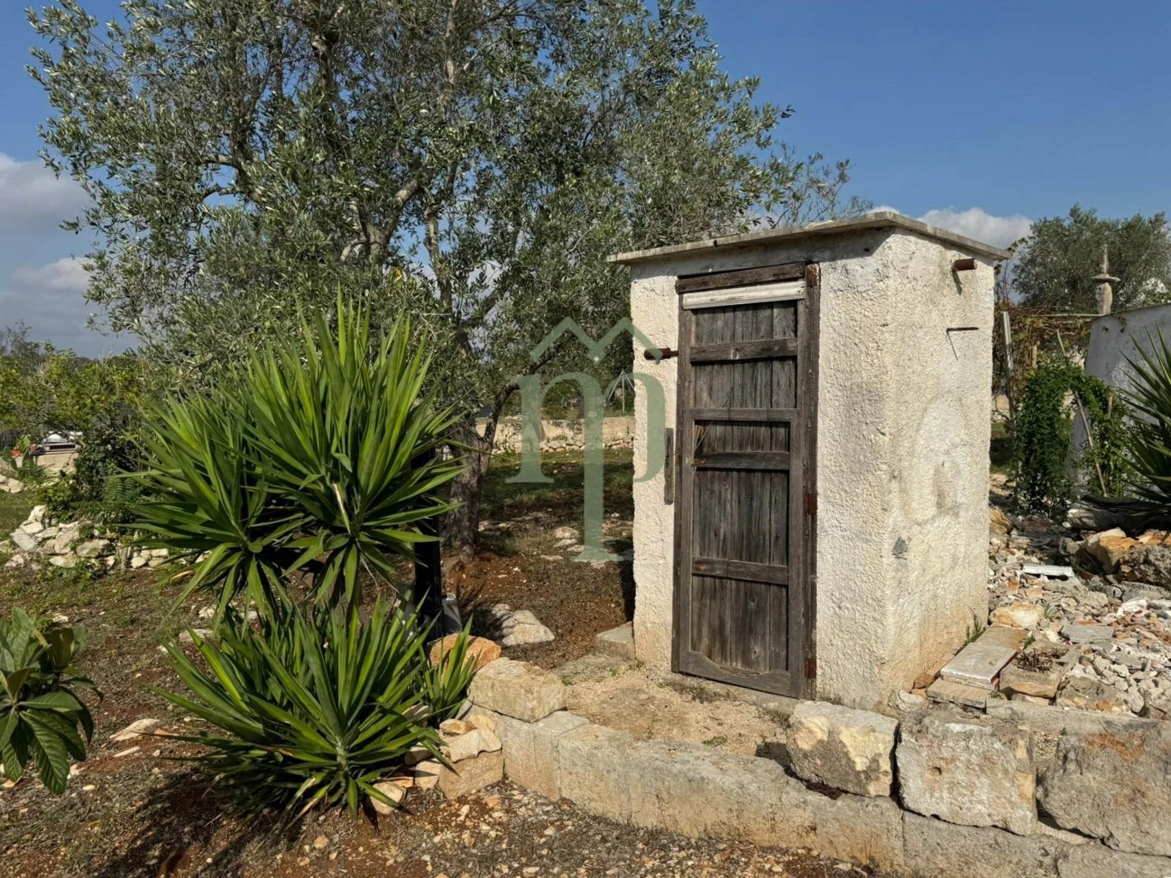 6735d1328851ff9a69999b1f_lamia quadrifoglio-5.jpeg