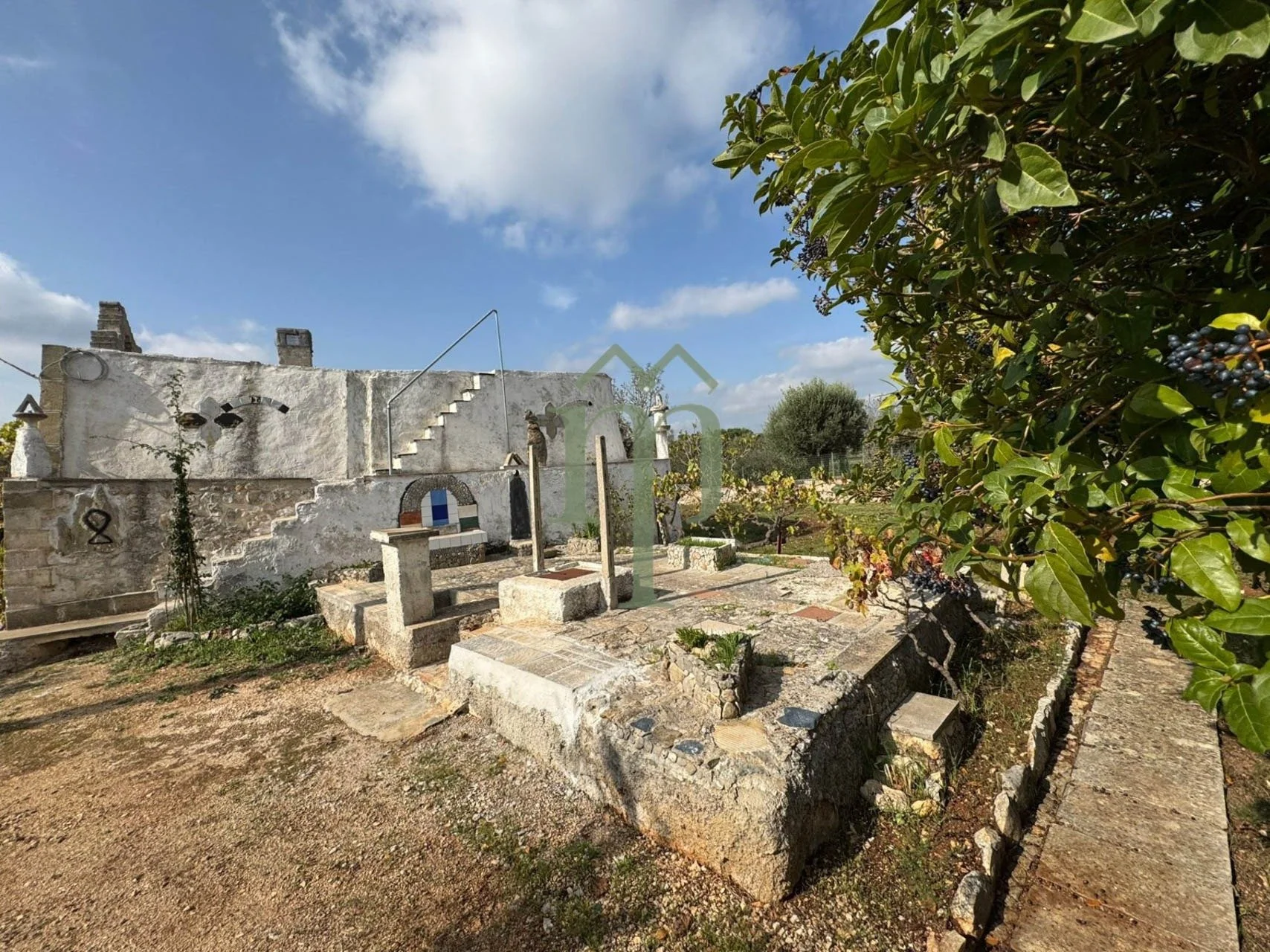 6735d132dea2fa7a890233a6_lamia quadrifoglio-10.jpeg