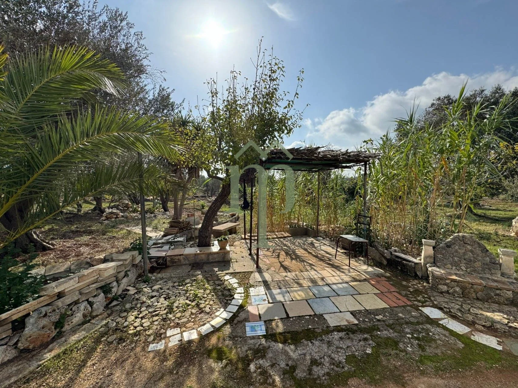 6735d1329c7bd4d1f4309b2d_lamia quadrifoglio-11.jpeg