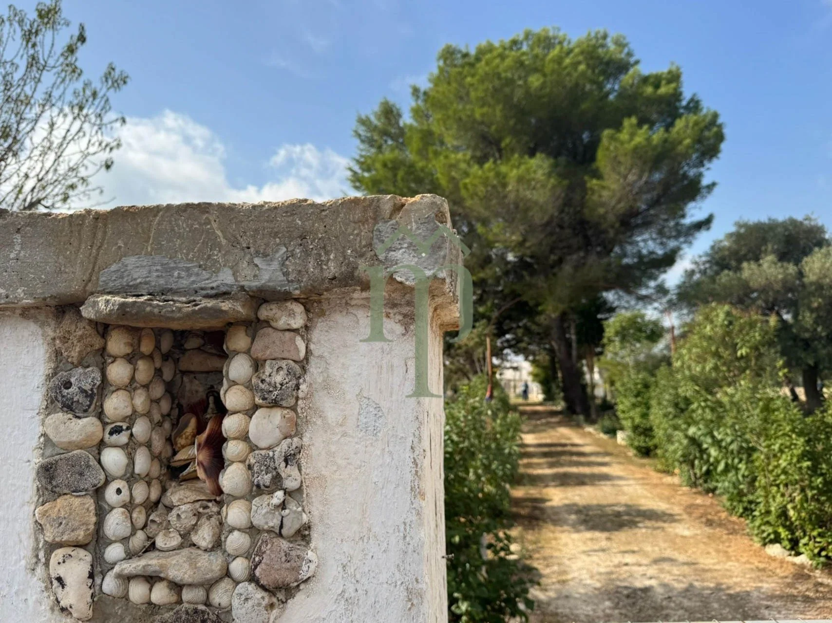 6735d132e28e5aa891750ad4_lamia quadrifoglio-15.jpeg