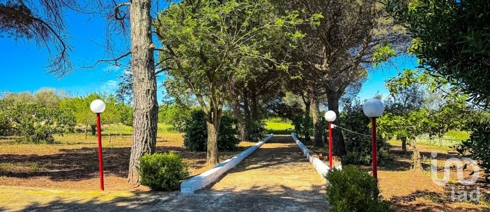 imgi_5_trullo-6-martina-franca-9200-143582-main-read-one.jpeg