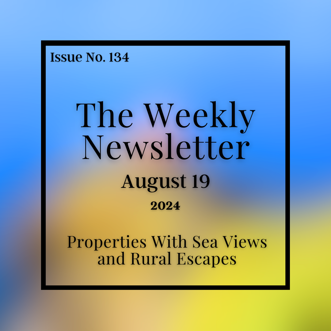 Issue No. 134 - August 19.png