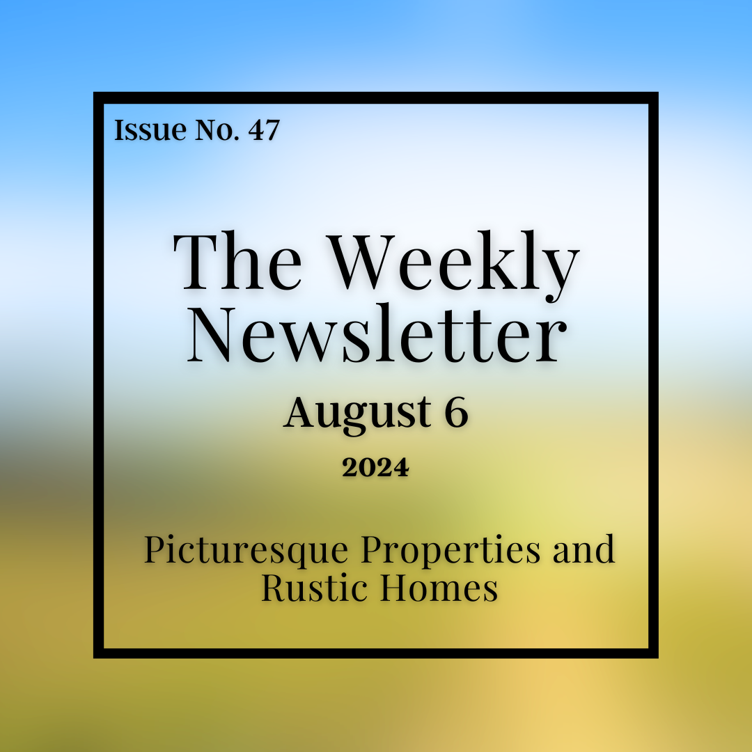 Issue No. 47 - August 6.png