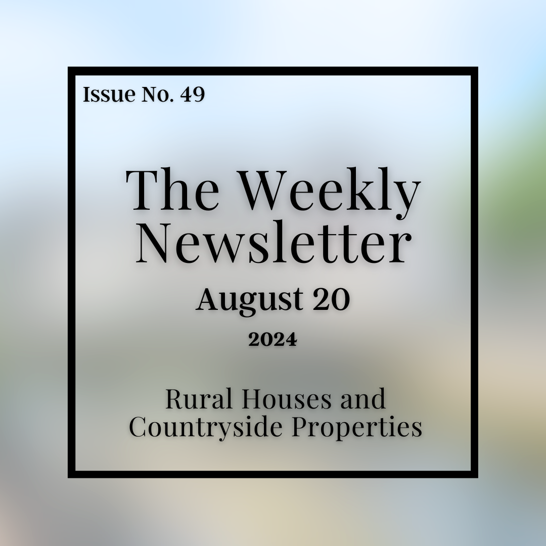 Issue No. 49 - August 20.png