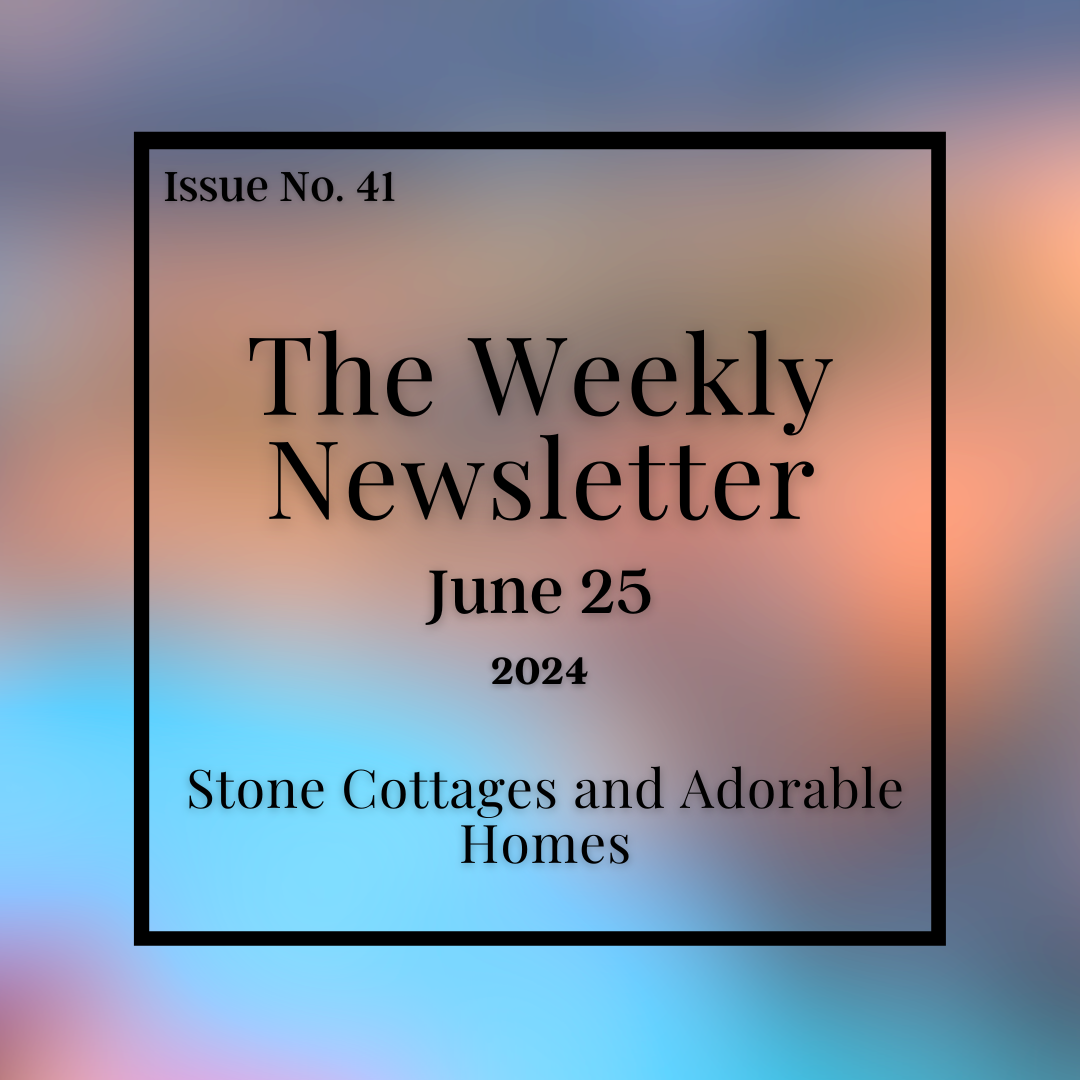 Issue No. 41 - June 25.png