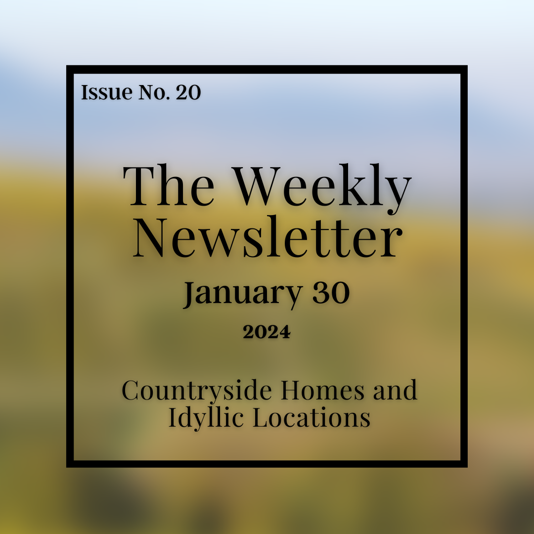 Issue No. 20 - January 30.png