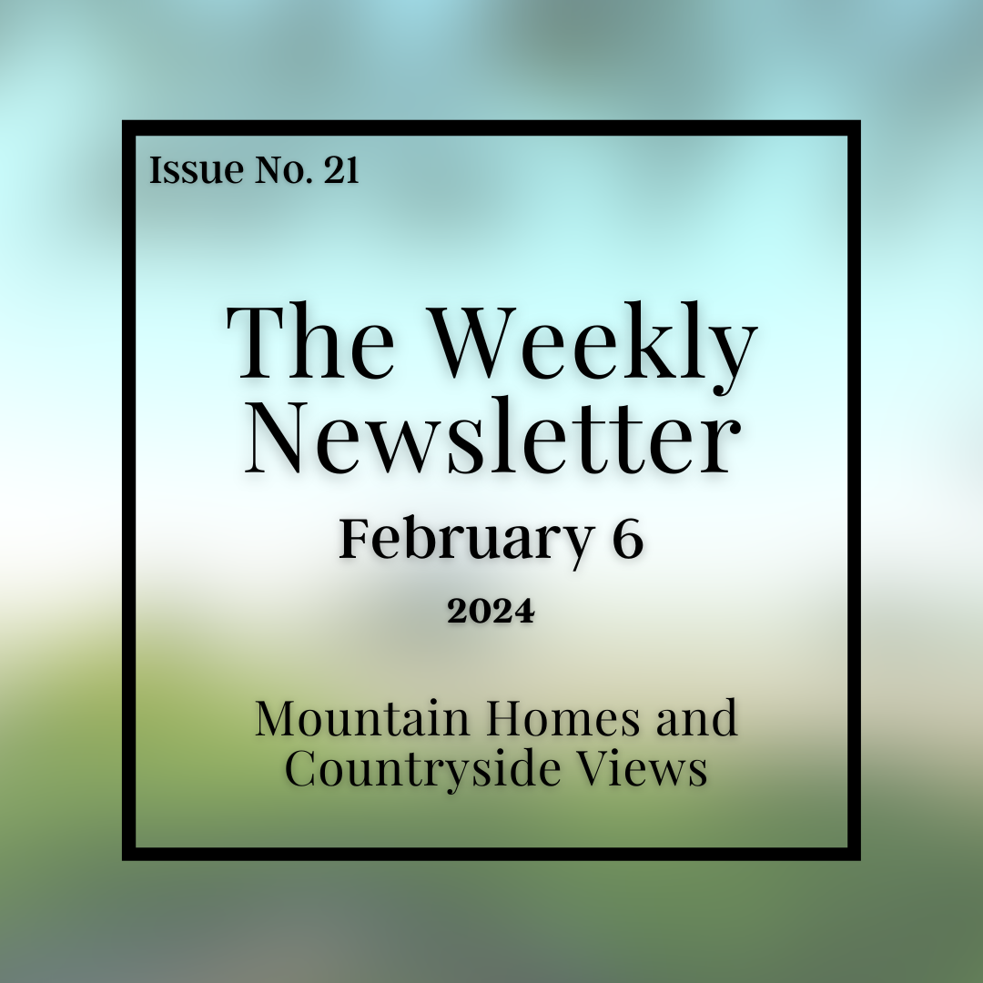 Issue No. 21 - February 6.png