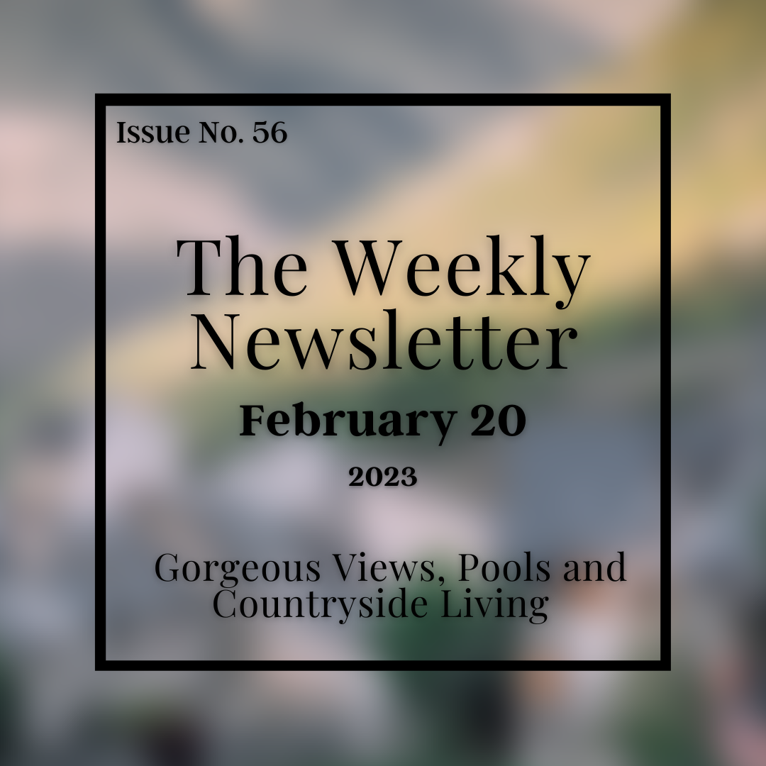 Issue No. 56 - February 20.png
