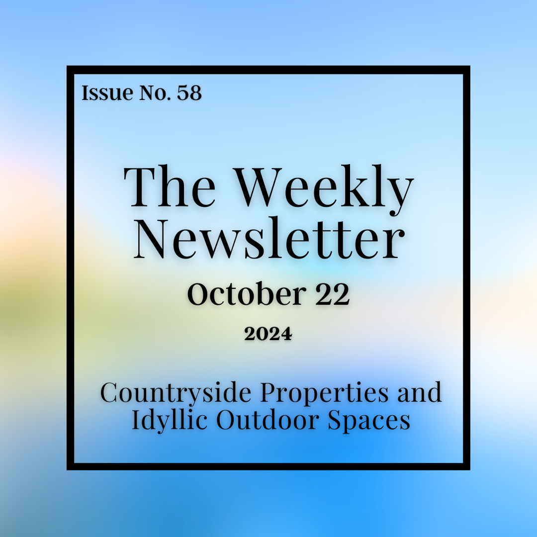 Issue No. 58 - October 22.png