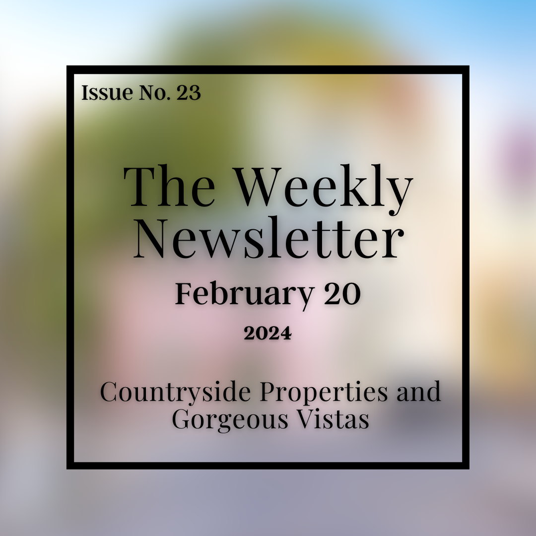 Issue No. 23 - February 20.png