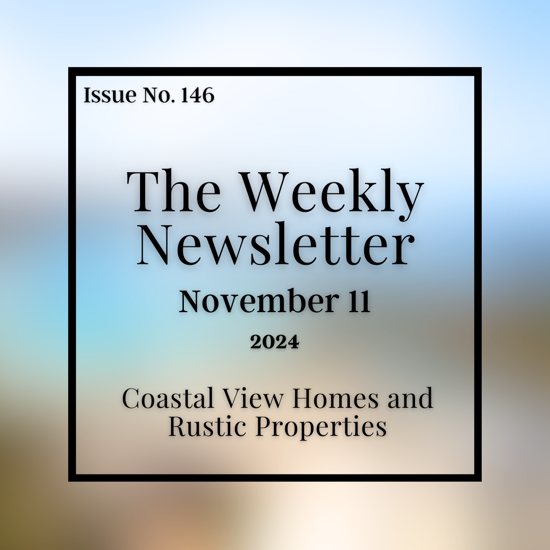 Issue No. 146 - November 11.png