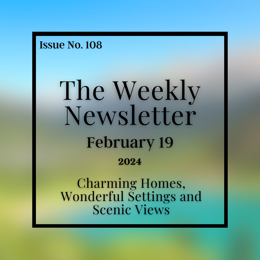 Issue No. 108 - February 19.png