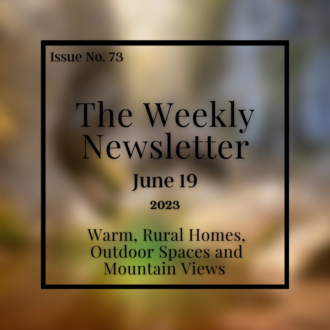 Issue No. 73 - June 19.png