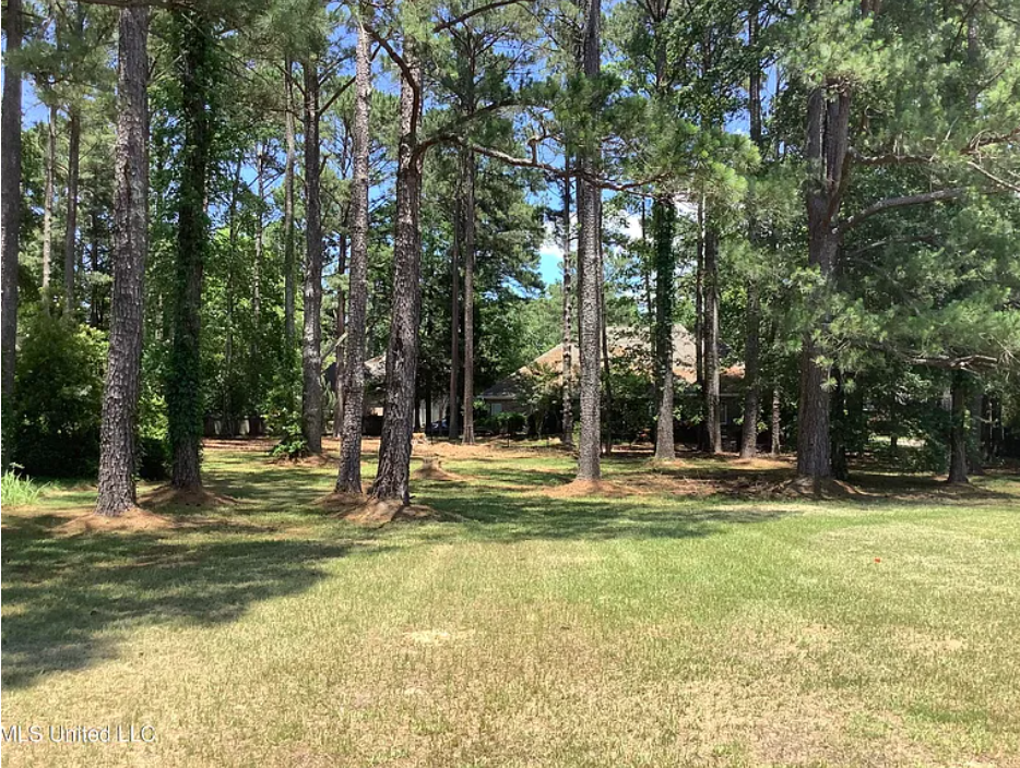 PALISADES LOT 98
98 PALISADES BLVD