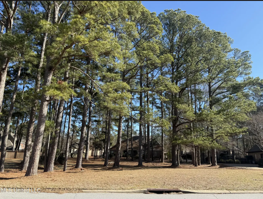 PALISADES LOT 96
101 GRAND VIEW CIR