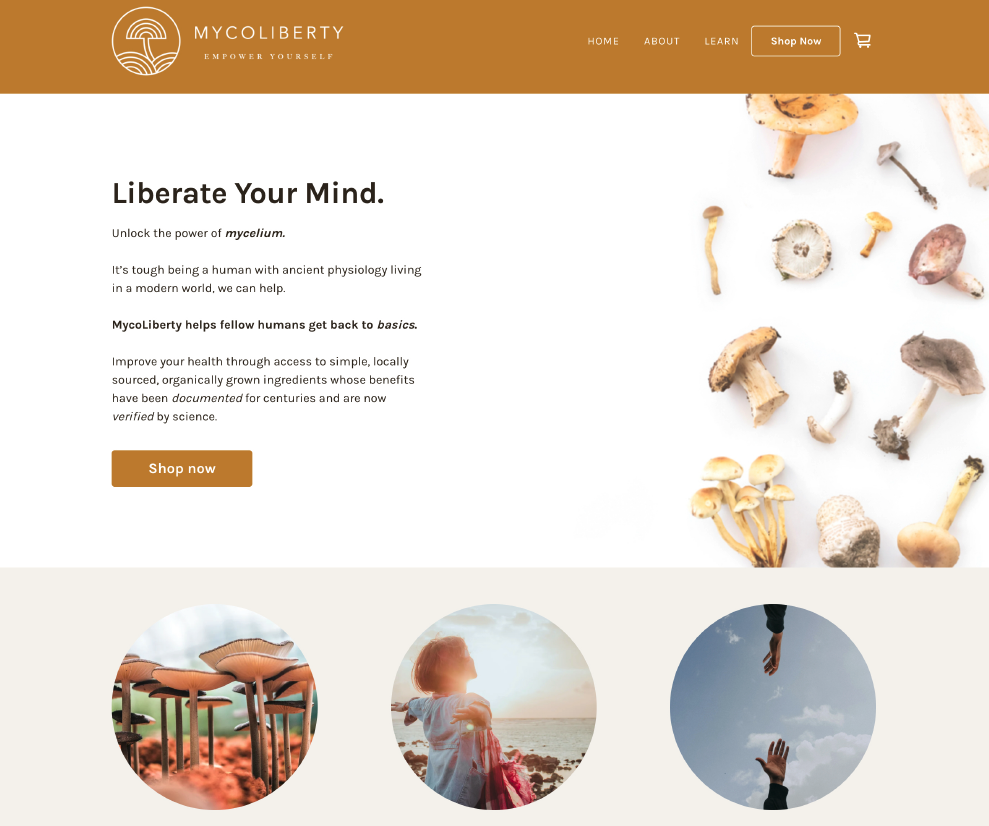 Screenshot 2026-02-04 at 12.33.29 PM.png