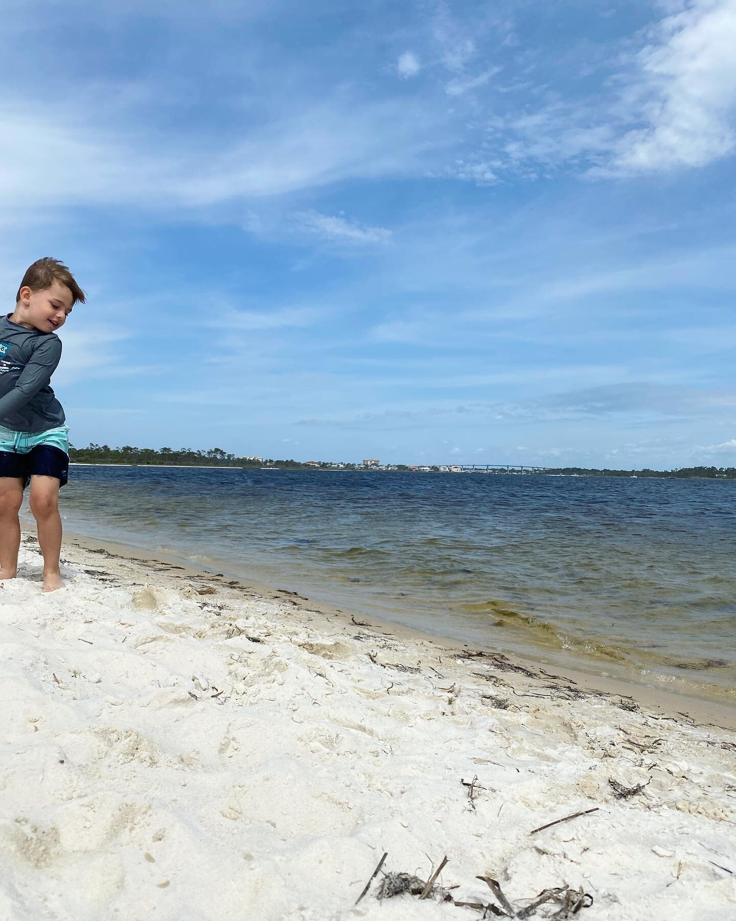 Fun beach 🏖 trip. H made lots of friends on the beach&mdash;he splashed, he got covered in so much sand and we dug lots of holes. And I made zero dinners for 4 nights ✨🙌🏼 #perdidokey #johnsonsbeach #nationalgulfseashore #pensacola #navypoint #dogs