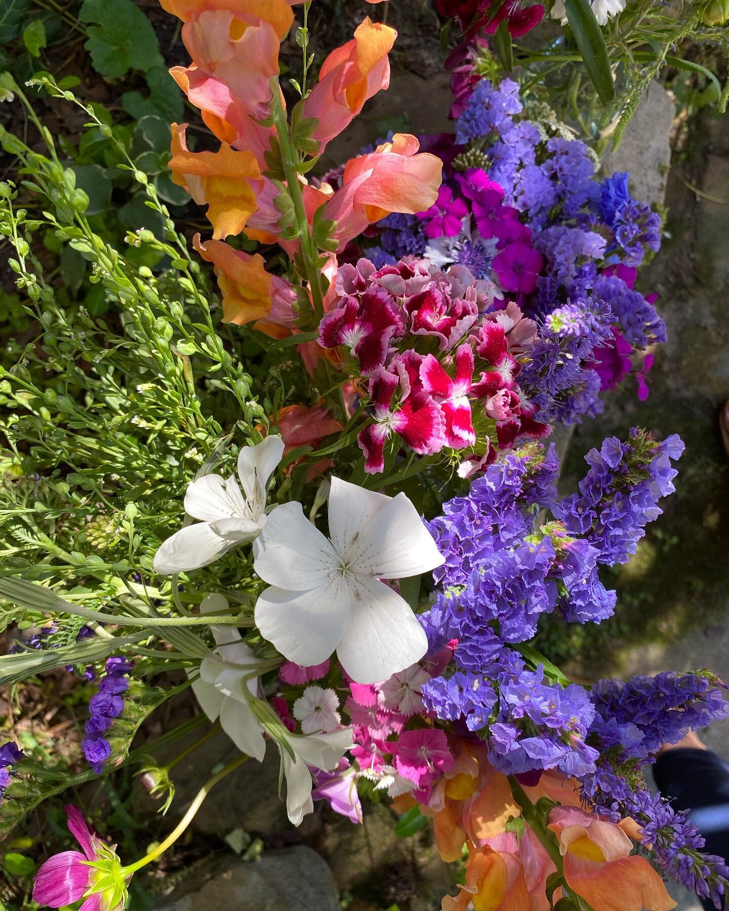 Thank you @joe_camardese (and self) for ordering these gorgeous flowers from @hepzibahfarms &mdash; absolutely stunning bouquet that I was able to split into 3 vases. It was a day/week but happy it&rsquo;s over and ready to enjoy the weekend and Moth