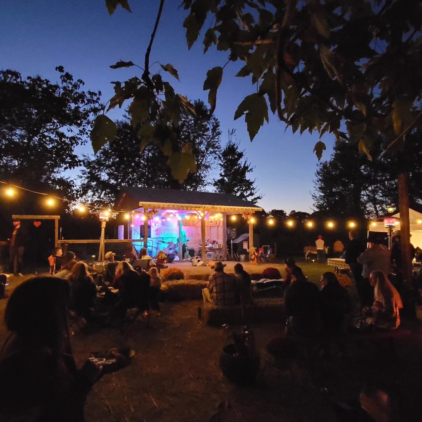 𝗢𝗻𝗲 𝗹𝗮𝘀𝘁 𝗵𝘂𝗿𝗿𝗮𝗵, 𝘆&rsquo;𝗮𝗹𝗹!! NEXT SATURDAY, April 12, 5&ndash;10pm, we throw our 𝑓𝑖𝑛𝑎𝑙 After Hours&hellip; at Lolly Bee Bayou at least. 😉 One more night of live music, great food, dancing, camping under the full moon, and soa