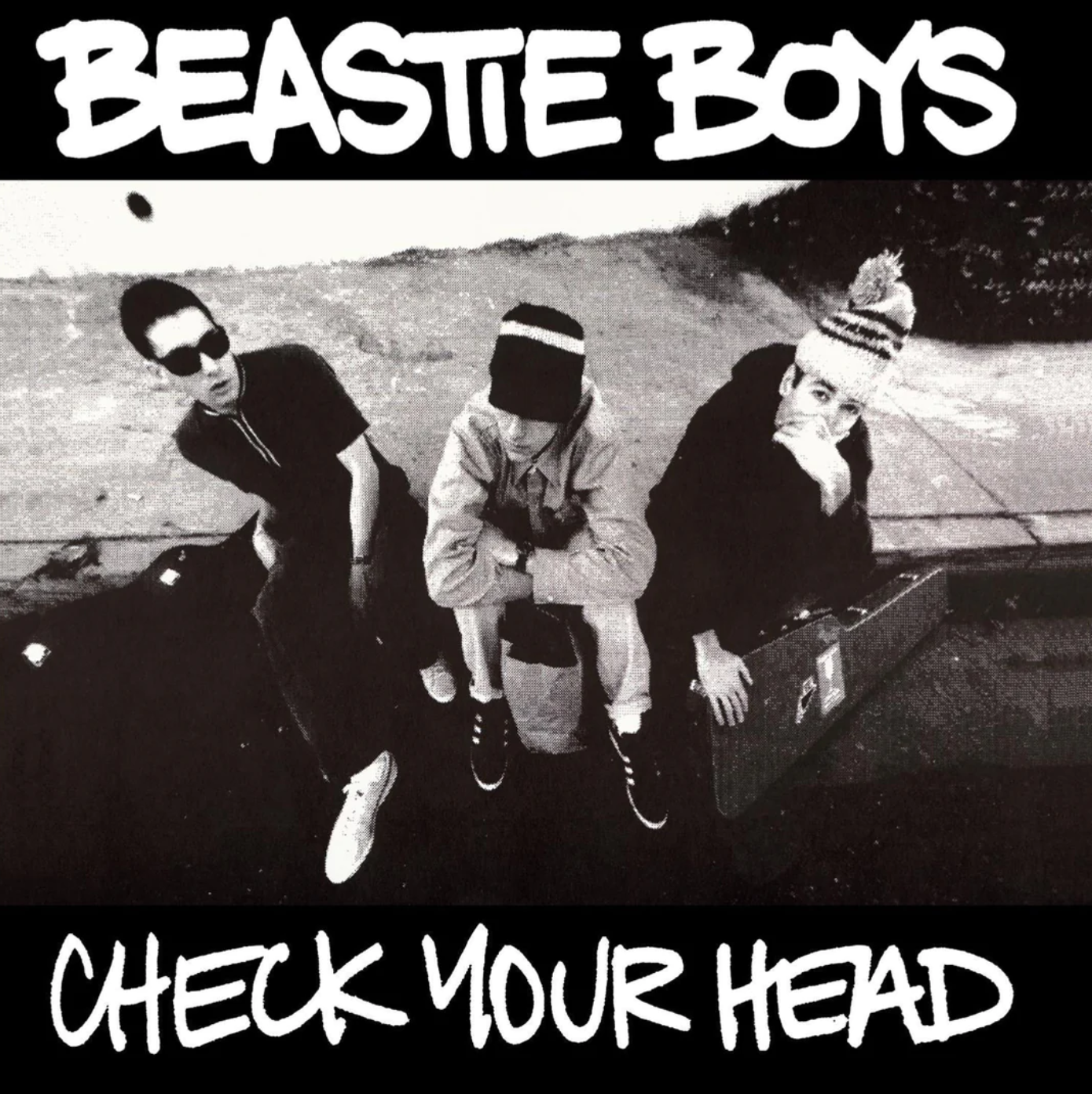 Beastie Boys - Check Your Head - Vinyle