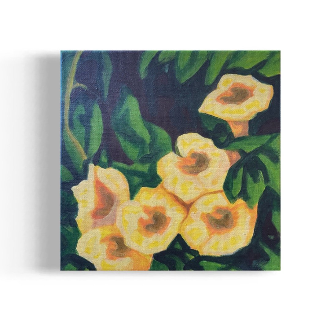 Trumpet Flowers III. 8"x8" Acrylic on Canvas. 2024