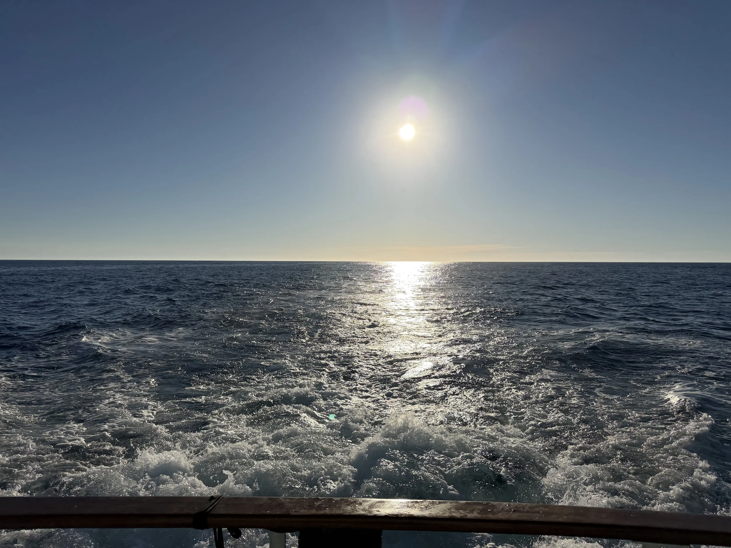 Photo Oct 18 2025, 8 15 35 AM.jpg