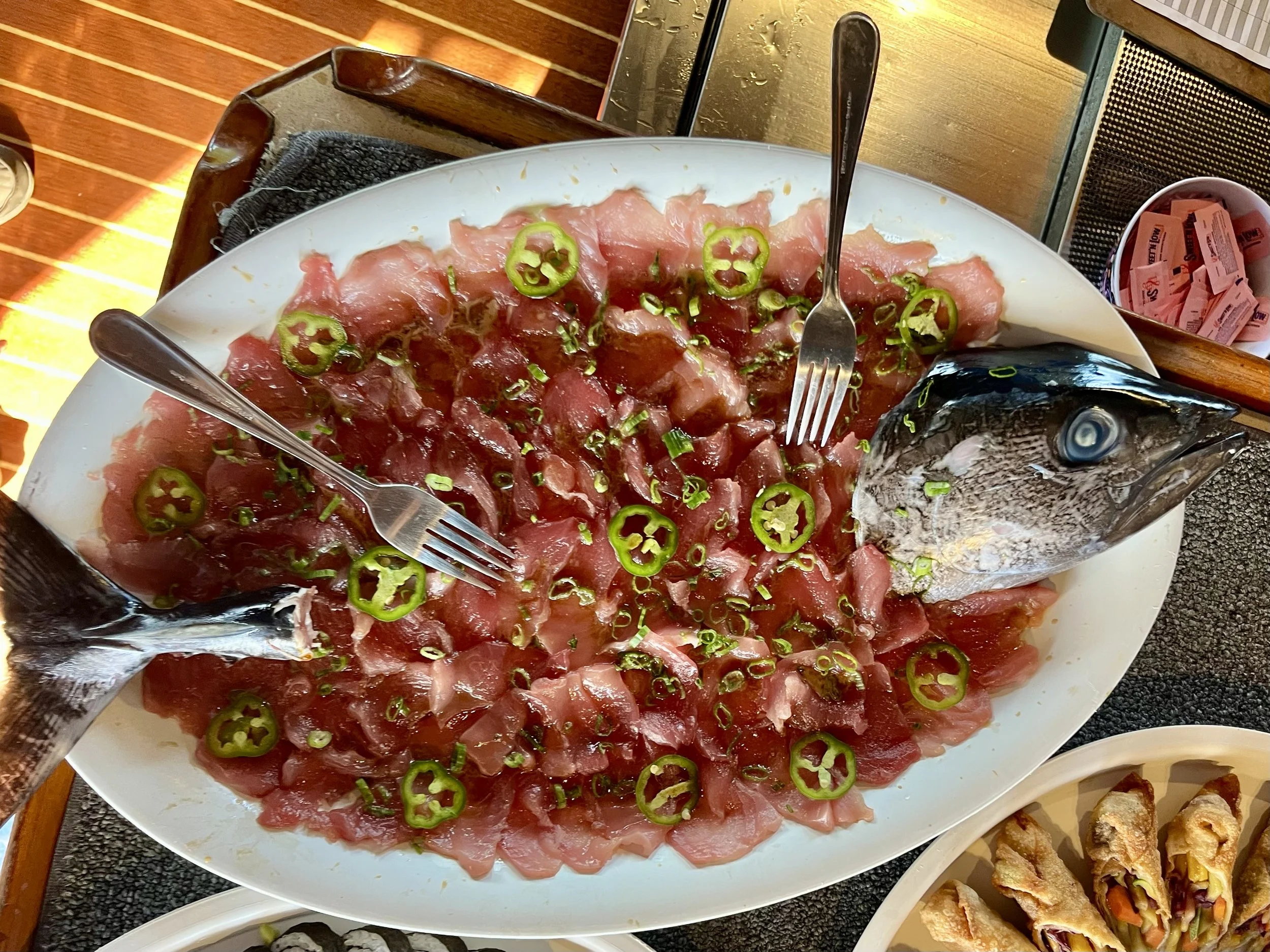 Photo Oct 18 2025, 3 16 49 PM.jpg