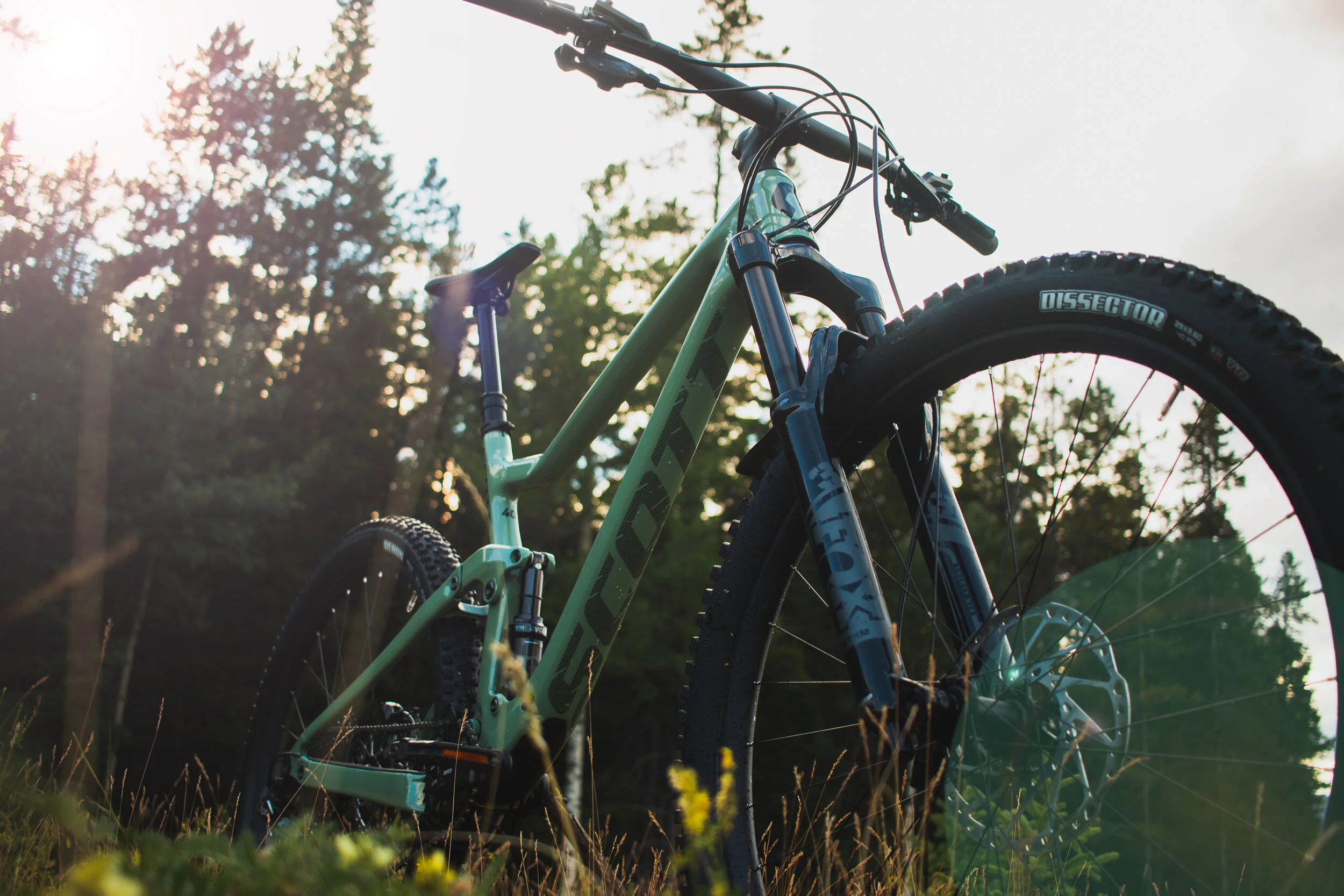 Green mountain bike with front suspension and large knobby tires standing on grassy field with trees in the background, sunlight filtering through the trees.