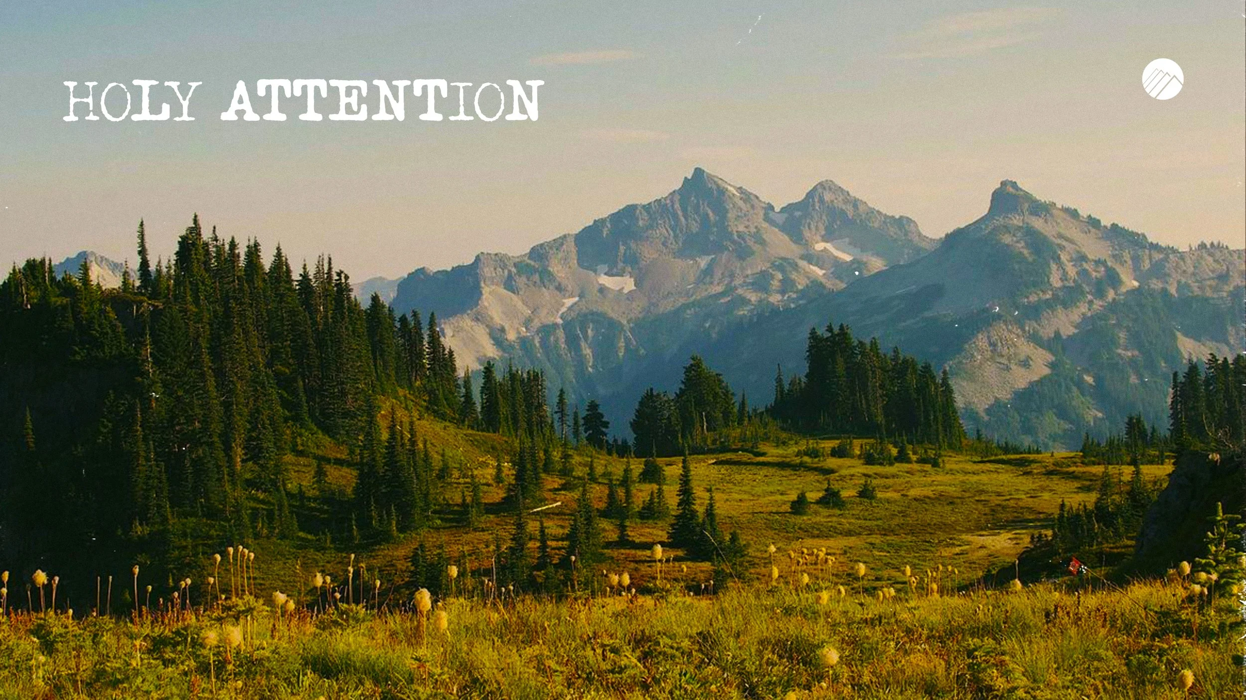 Holy Attention (Series) Life Group Study Guide