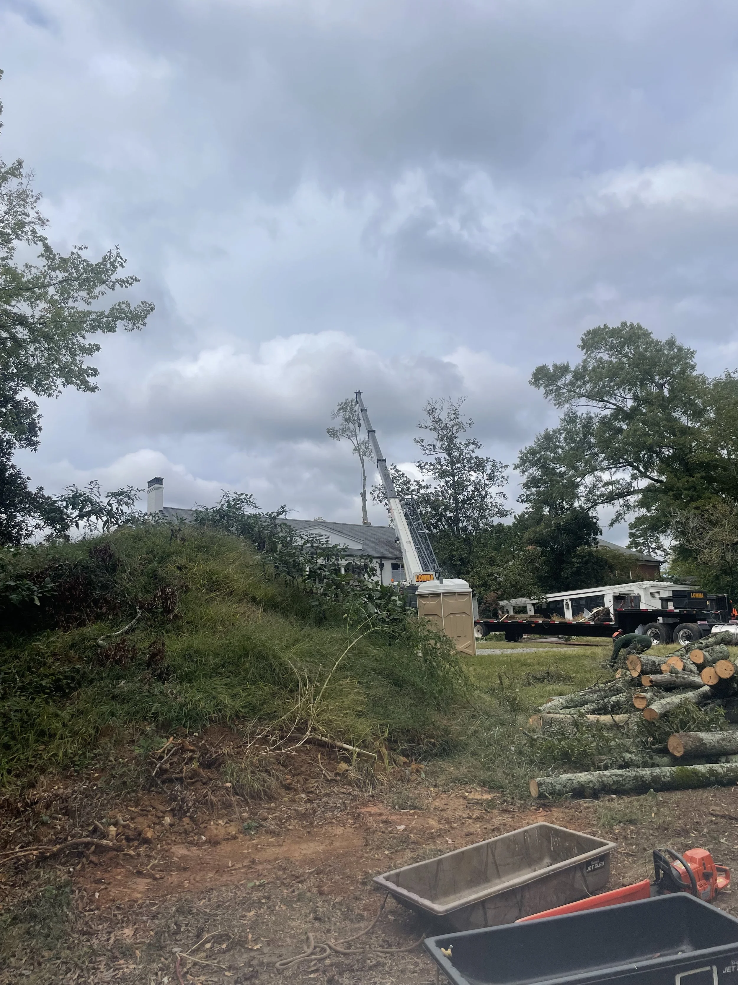 Last piece of canopy.