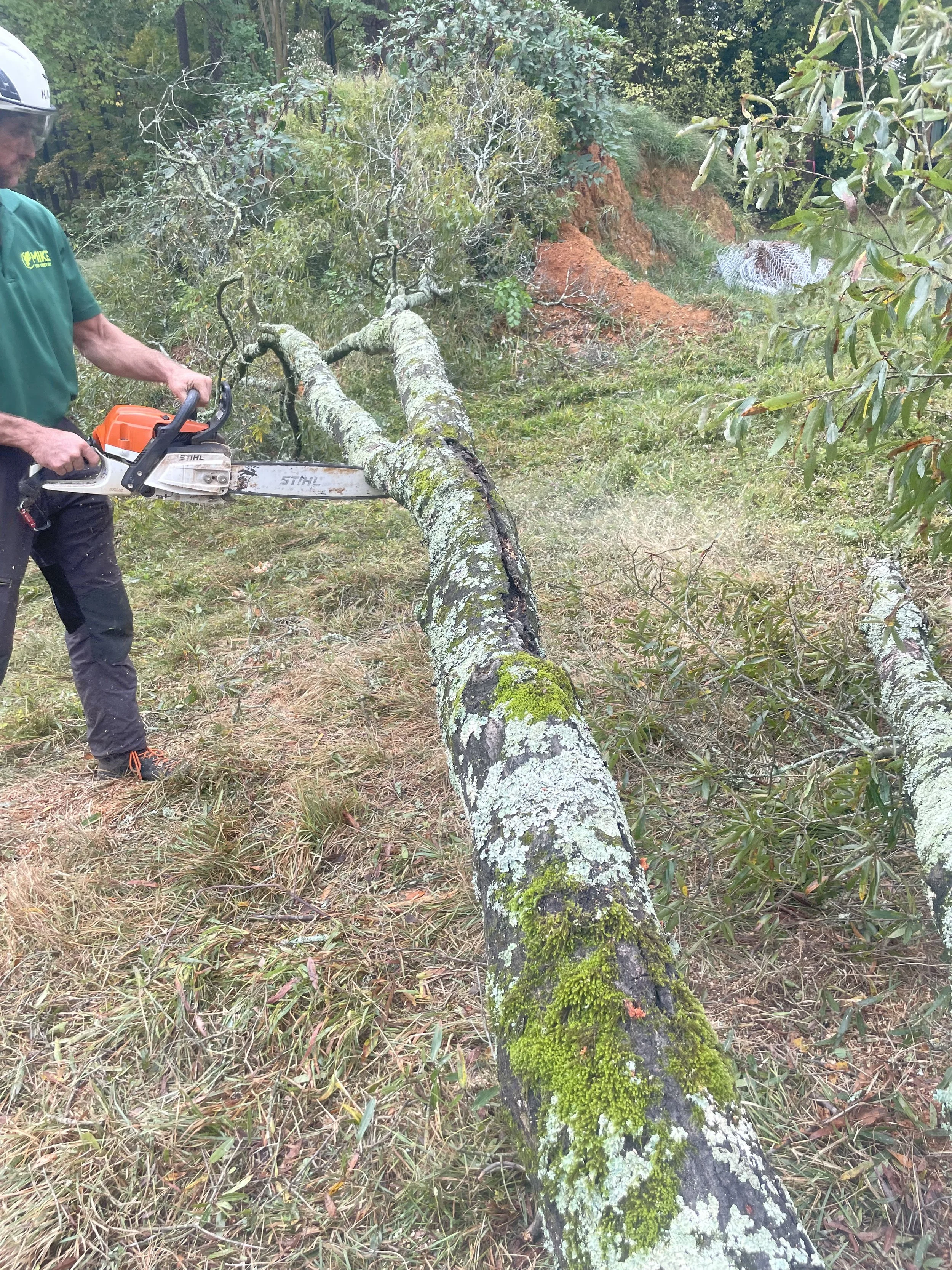 The one and only "Mike The Tree Guy" getting material ready for the chipper.