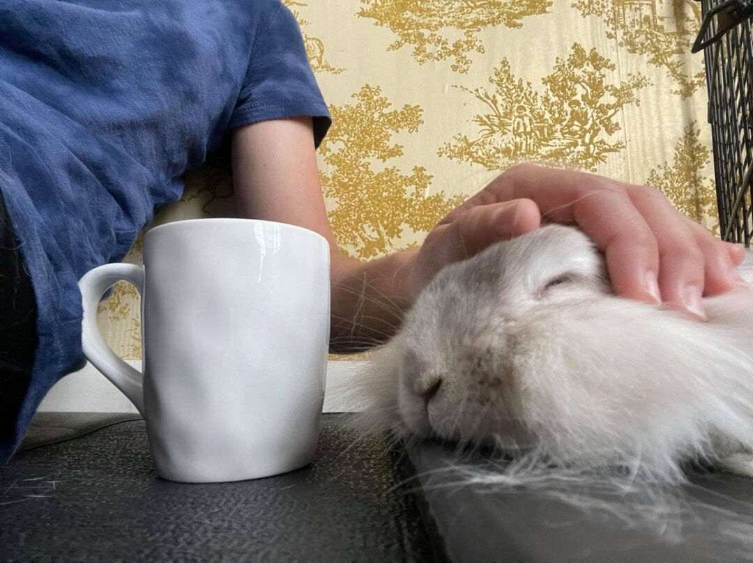 ☕️ ➕ 🐰 = 😍

Describe your perfect #Bunday ❤️