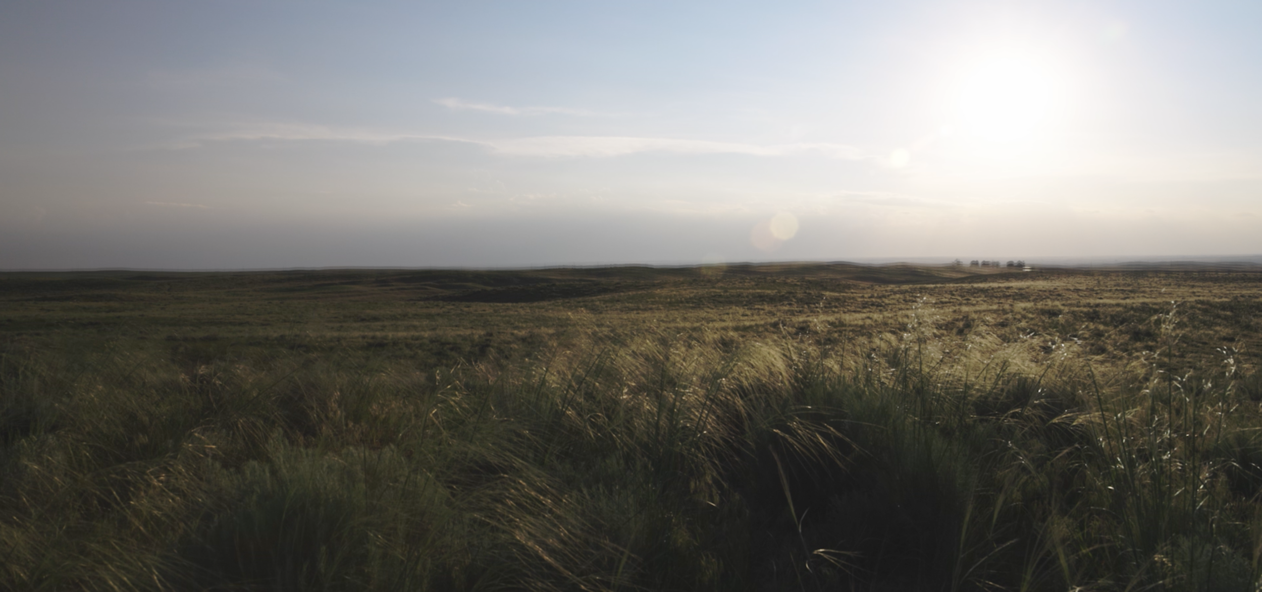 Screen Shot 2025-12-30 at 9.01.08 PM.png