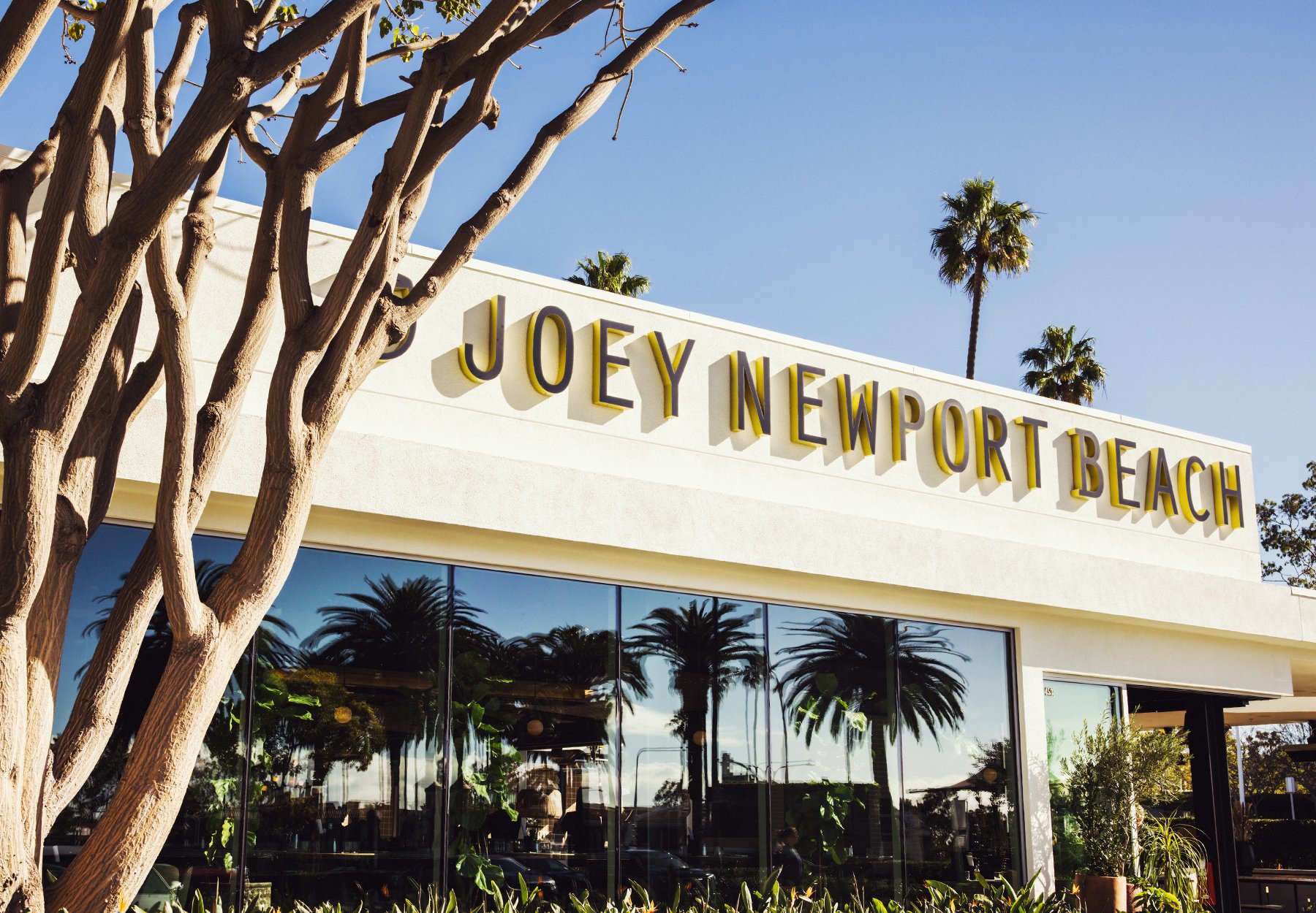 JOEY Newport Beach  Visit Newport Beach