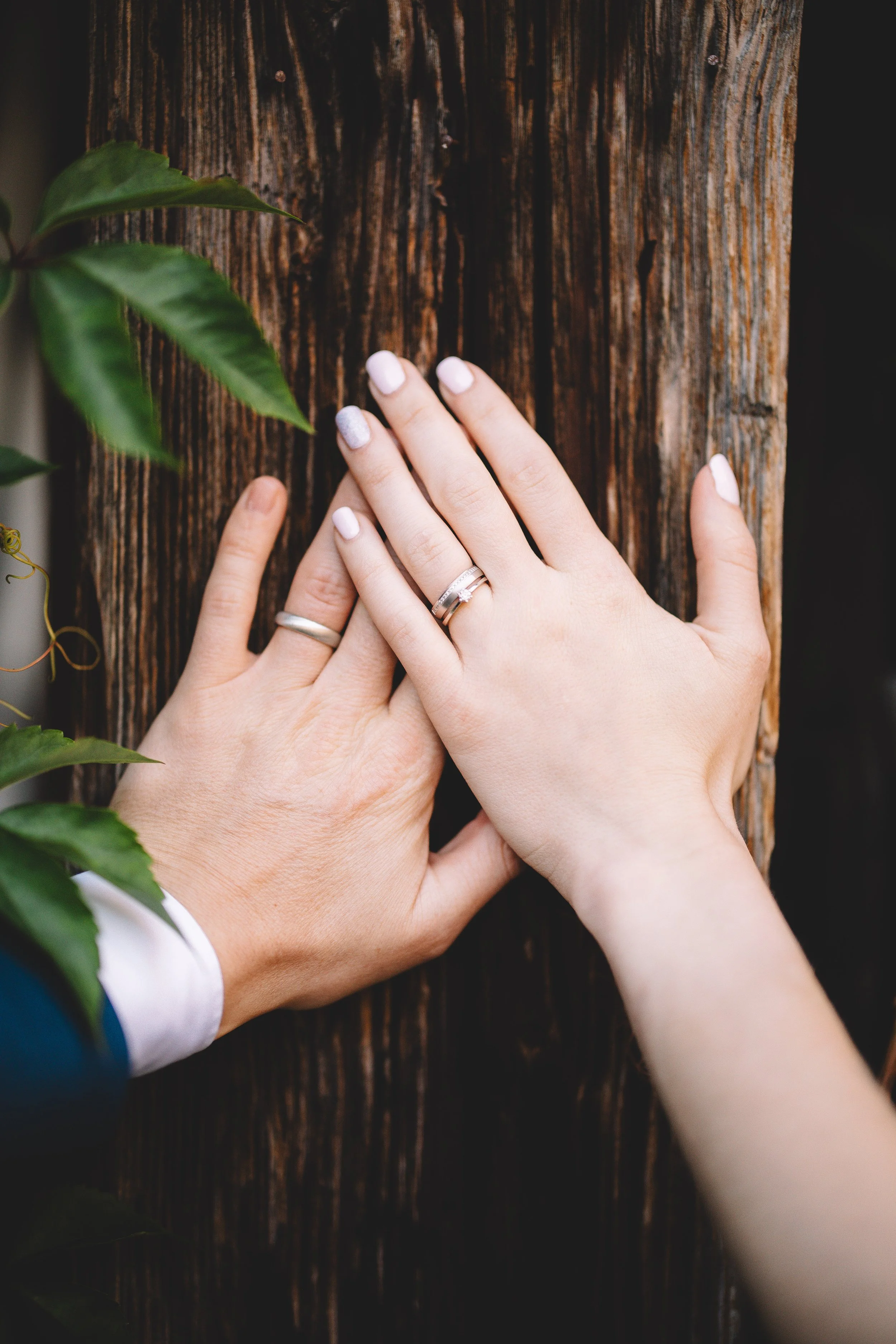 Hochzeitsbilder (670 von 714).jpg