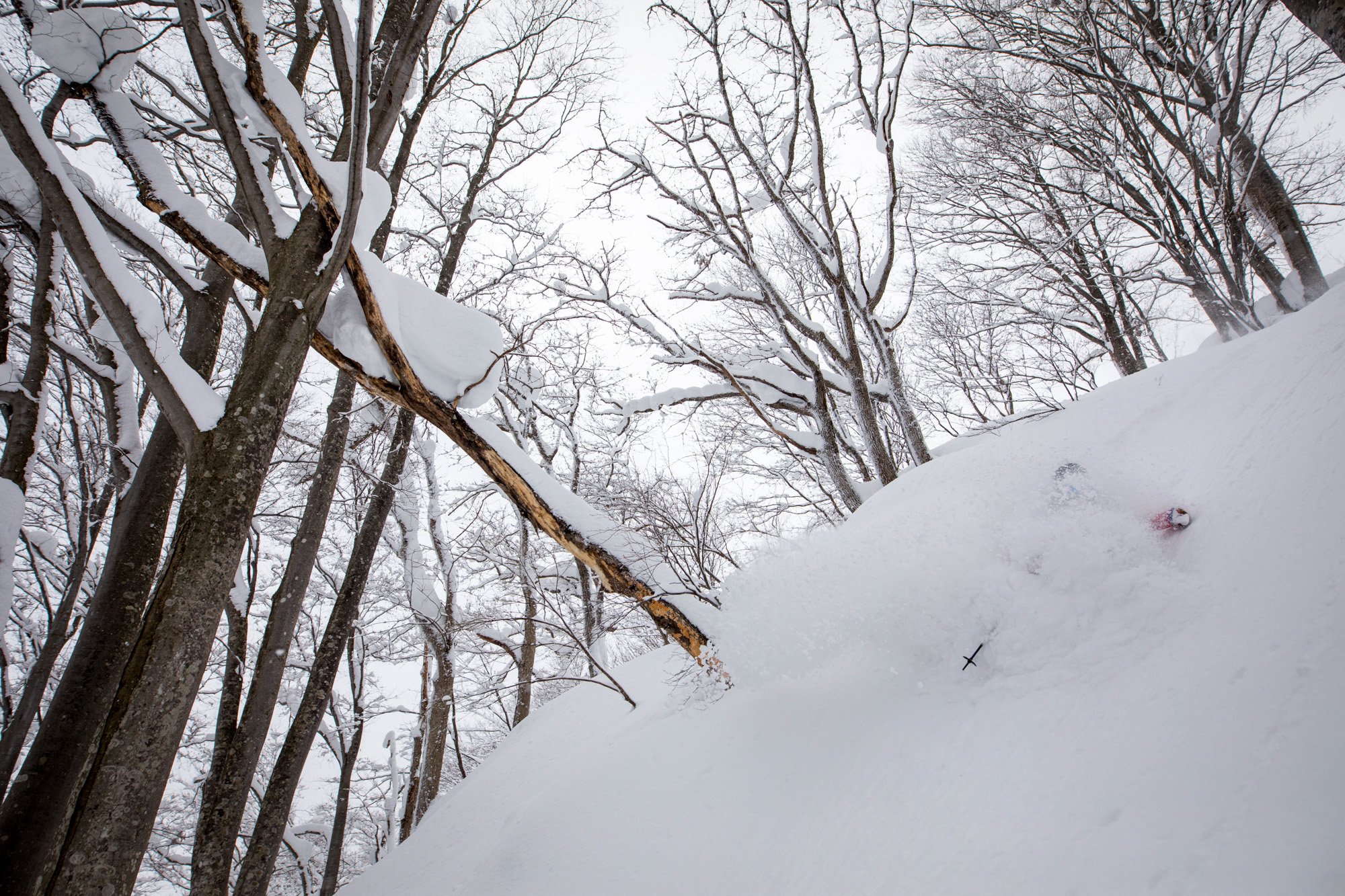 Zoya-Lynch-Skiing-Photography-Japan-17.jpg