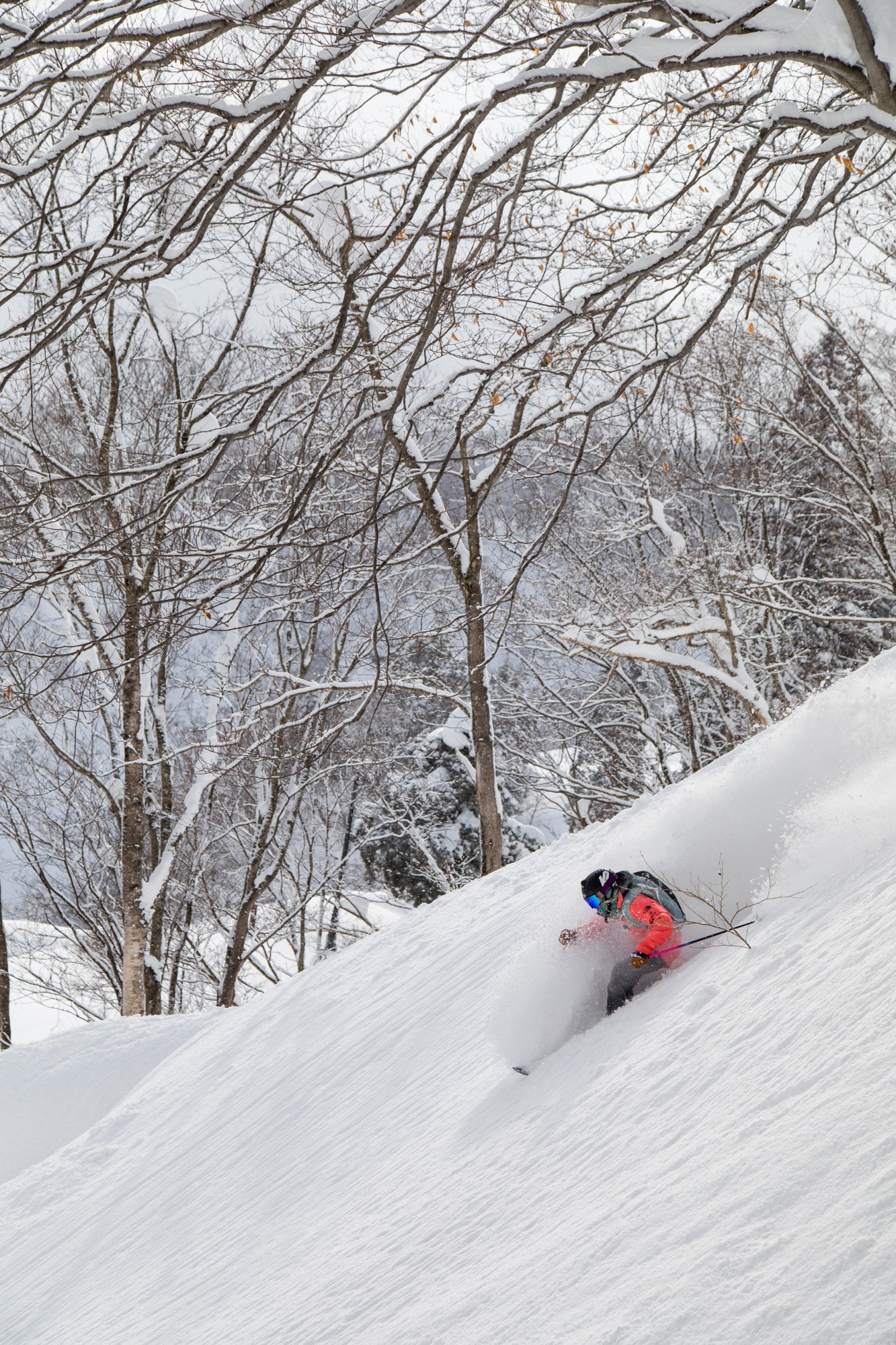 Zoya-Lynch-Skiing-Photography-Japan-20.jpg