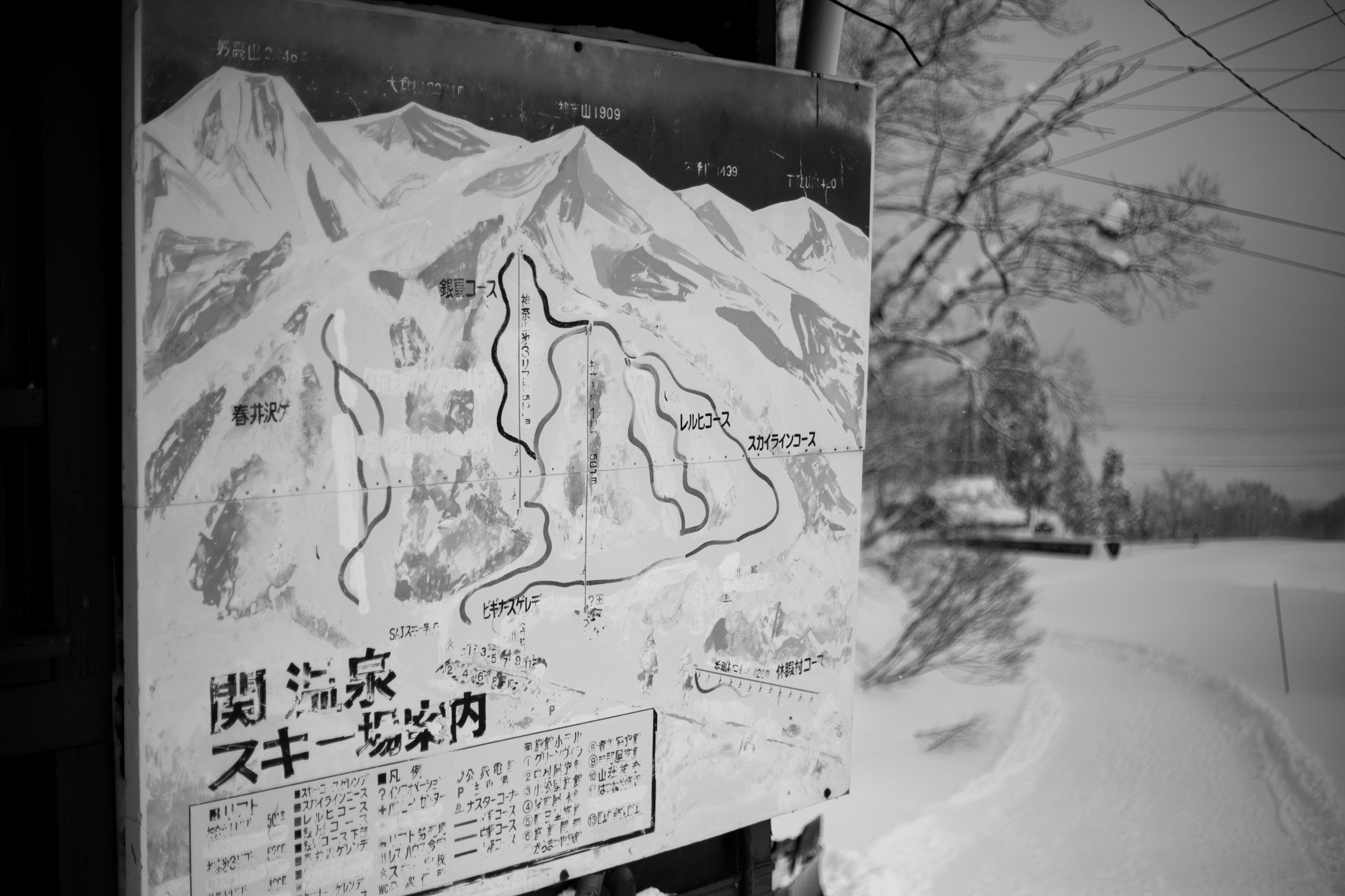 Zoya-Lynch-Skiing-Photography-Japan-25.jpg