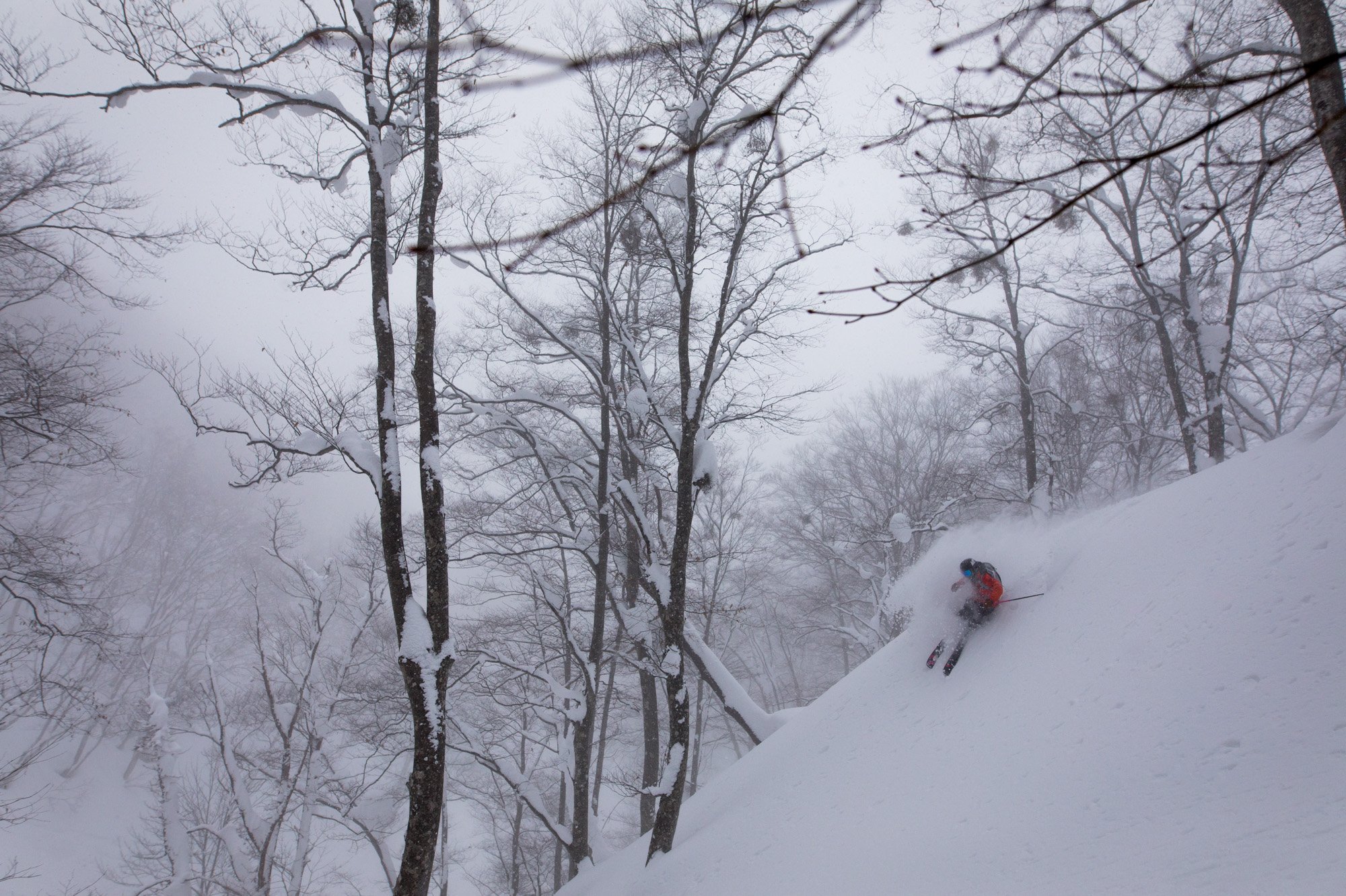 Zoya-Lynch-Skiing-Photography-Japan-46.jpg