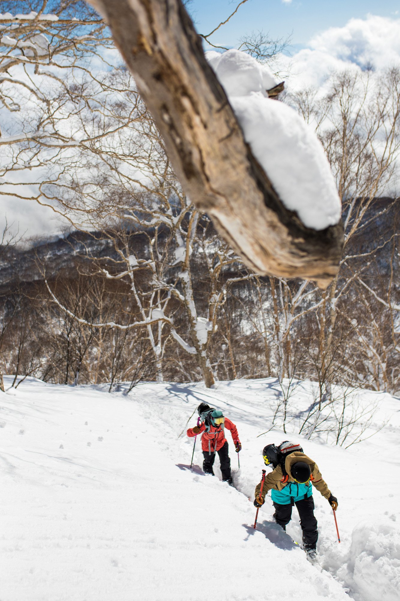 Zoya-Lynch-Skiing-Photography-Japan-71.jpg