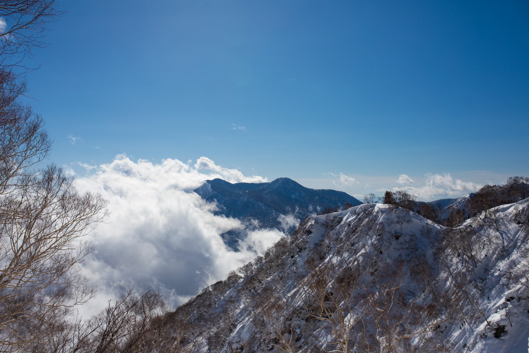 Zoya-Lynch-Skiing-Photography-Japan-73.jpg