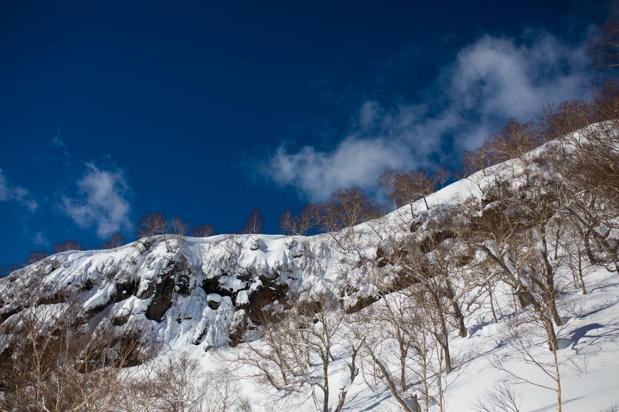 Zoya-Lynch-Skiing-Photography-Japan-74.jpg