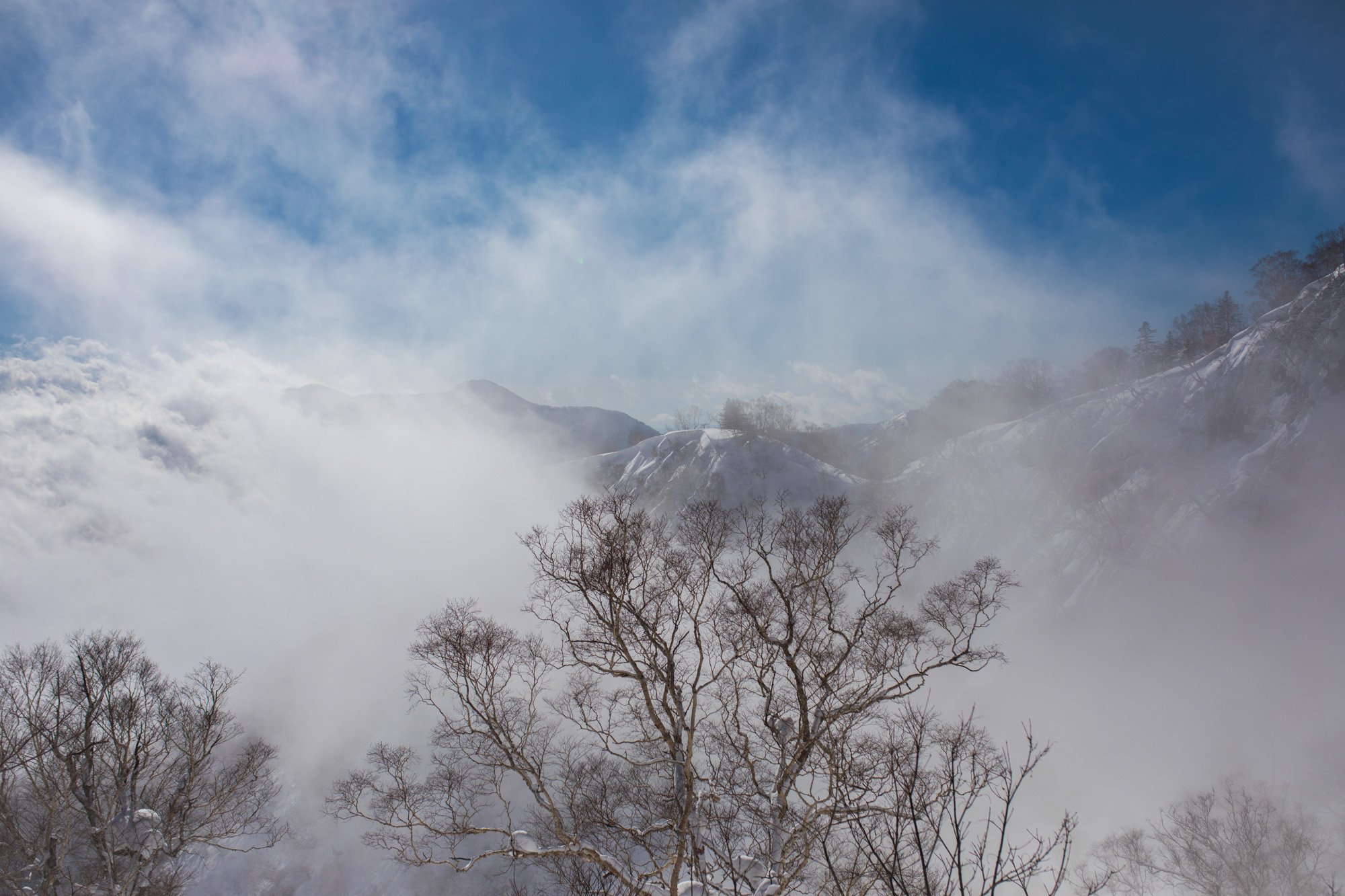Zoya-Lynch-Skiing-Photography-Japan-75.jpg