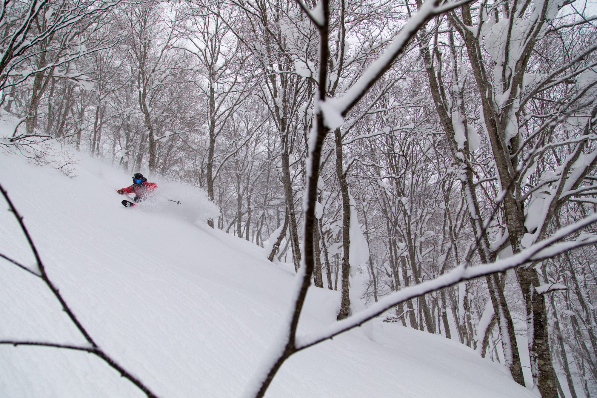 Zoya-Lynch-Skiing-Photography-Japan-111.jpg