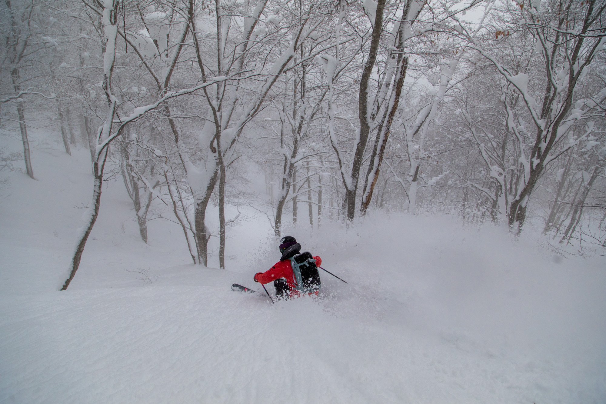 Zoya-Lynch-Skiing-Photography-Japan-112.jpg