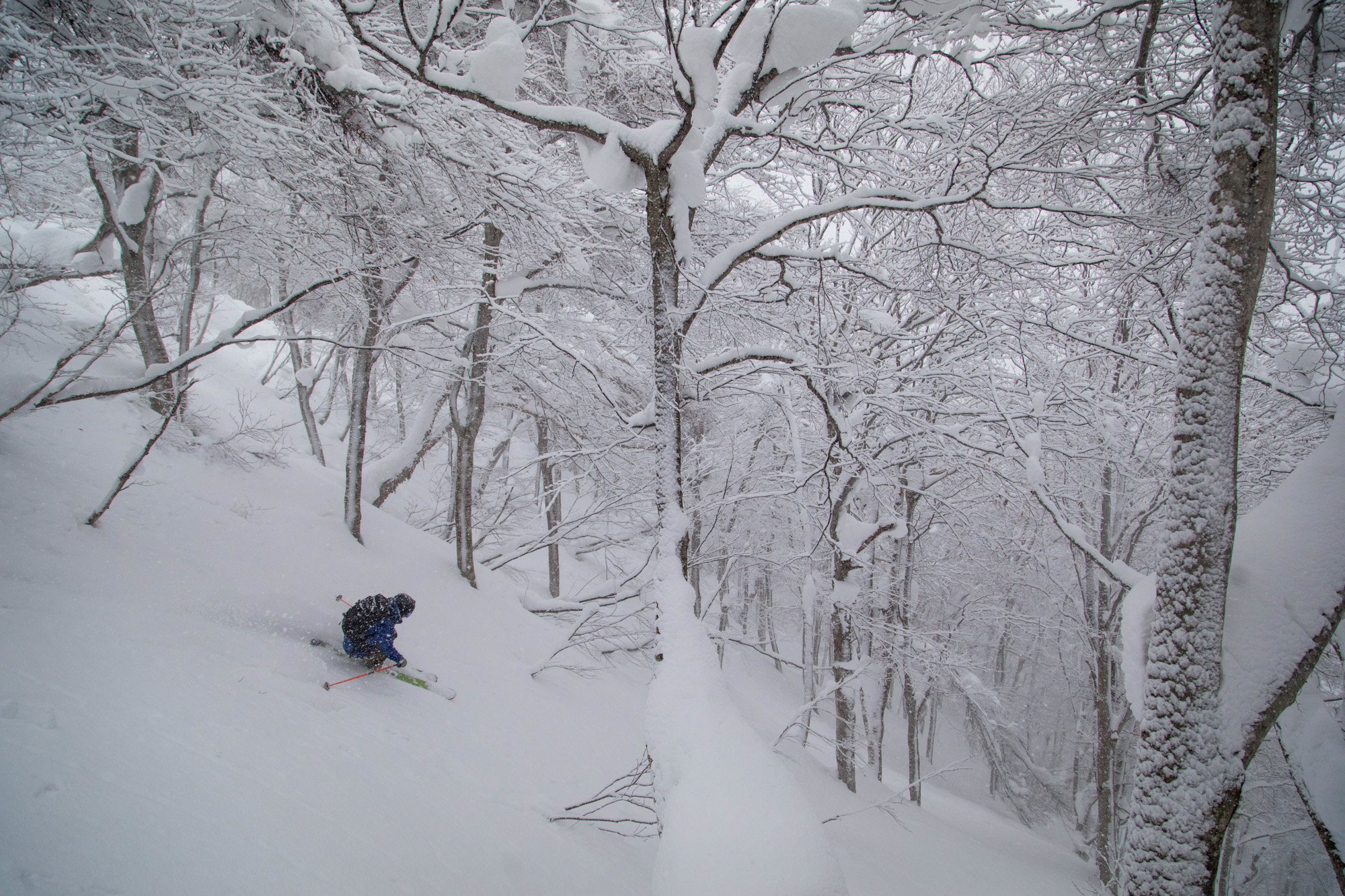 Zoya-Lynch-Skiing-Photography-Japan-115.jpg